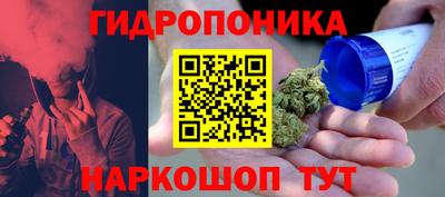 мяу мяу мука Гусиноозёрск