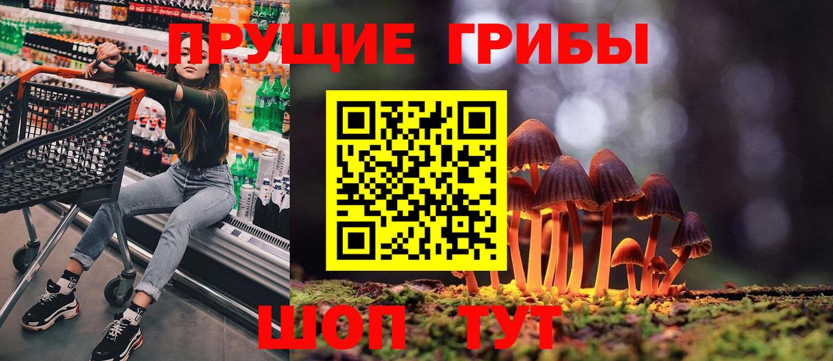 Псилоцибиновые грибы Magic Shrooms  Псилоцибиновые грибы ЛСД  Заинск  Вход с VPN 